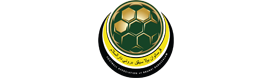 Football Association of Brunei Darussalam
